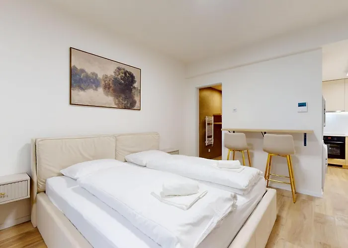 公寓 Downtown W King Size Bed And Ac 布拉迪斯拉发